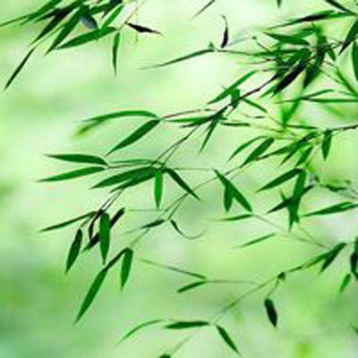 斗钩游戏下载